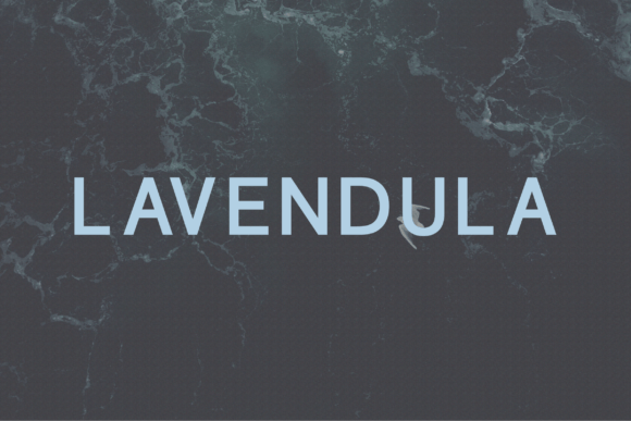 Lavendula: A Modern Sans Serif Typeface for Editorial Clarity