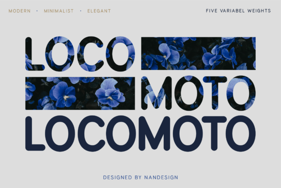 Locomoto Rounded Typeface: A Softer Approach to Modern Web Typography