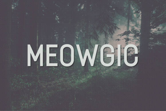 Meowgic: The Modern Sans Serif Typeface for Digital Clarity