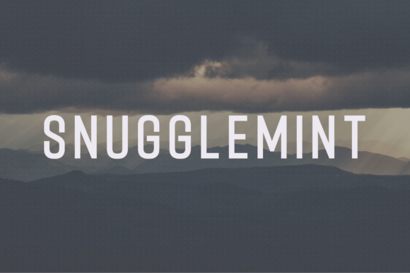 Snugglemint Typeface Review: A Modern Sans Serif for Clean Campaigns