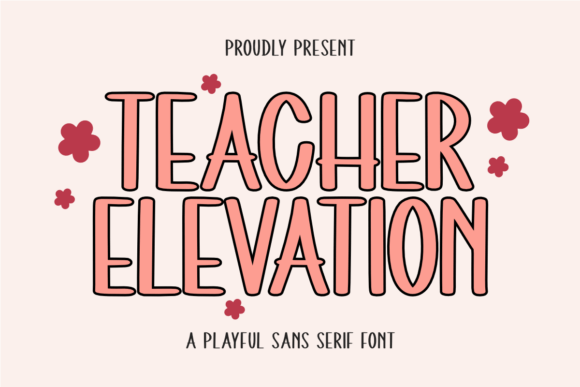 Teacher Elevation: A Designer’s Honest Review