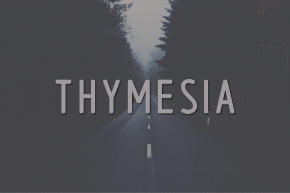 Thymesia: The Modern Sans Serif Font for Scroll-Stopping Visuals